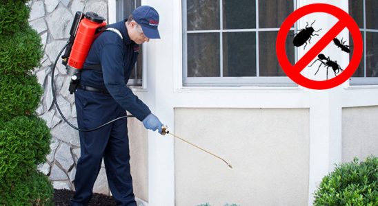 Yağcılar Sivrisinek İlaçlama böcek ilaçlama ve haşere kontrolü — ilaclama-tr.com